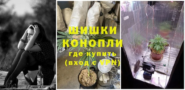 спиды Аркадак