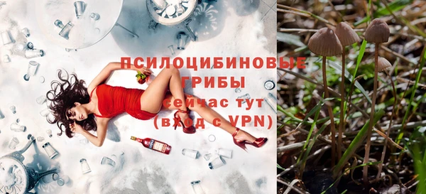 спиды Аркадак